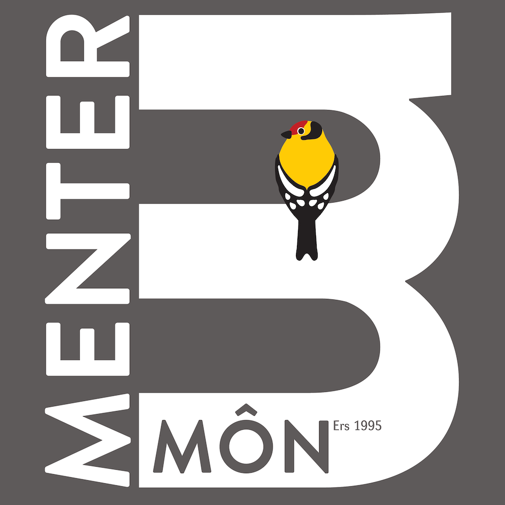 Menter Môn