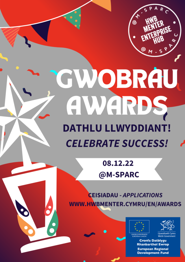 Gwobrau Hwb Menter 2022 Enterprise Hub Awards 2022